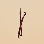 brown stick on yellow background
